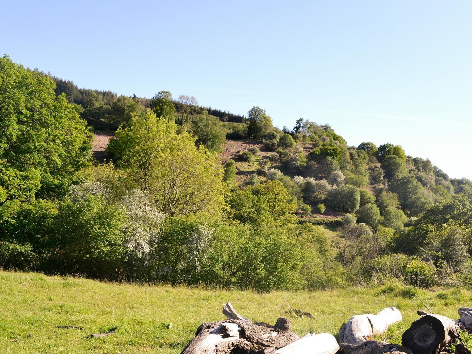 Вилла The Old Cider Mill Llanstephan  Экстерьер фото